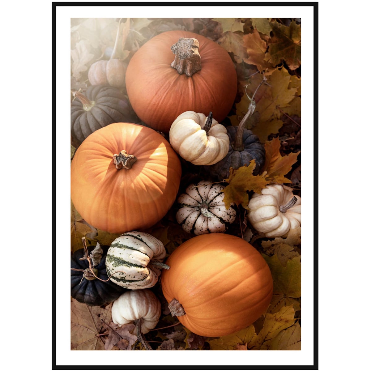 Poster Story, Plakat, Obraz - Jesienne Dynie, wymiary 70 x 100 cm