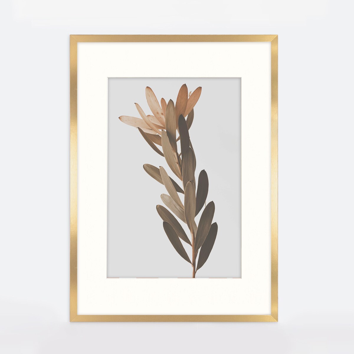 Złota ramka na zdjęcia HEN PASS Z 60x80 cm z passe partout (50x70 cm)