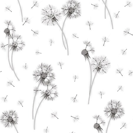 Tapeta Czarno-Białe DMUCHAWCE Natura