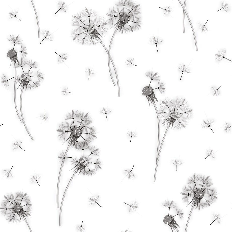 Tapeta Czarno-Białe DMUCHAWCE Natura