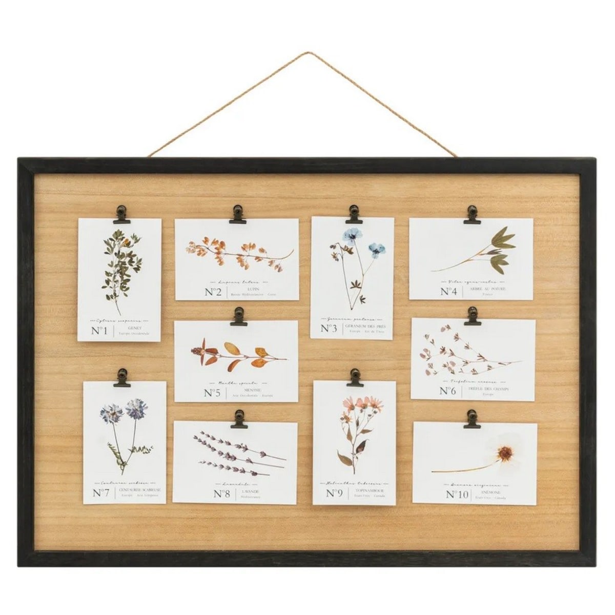 Ramka organizer na zdjęcia na sznurku 50x70 cm