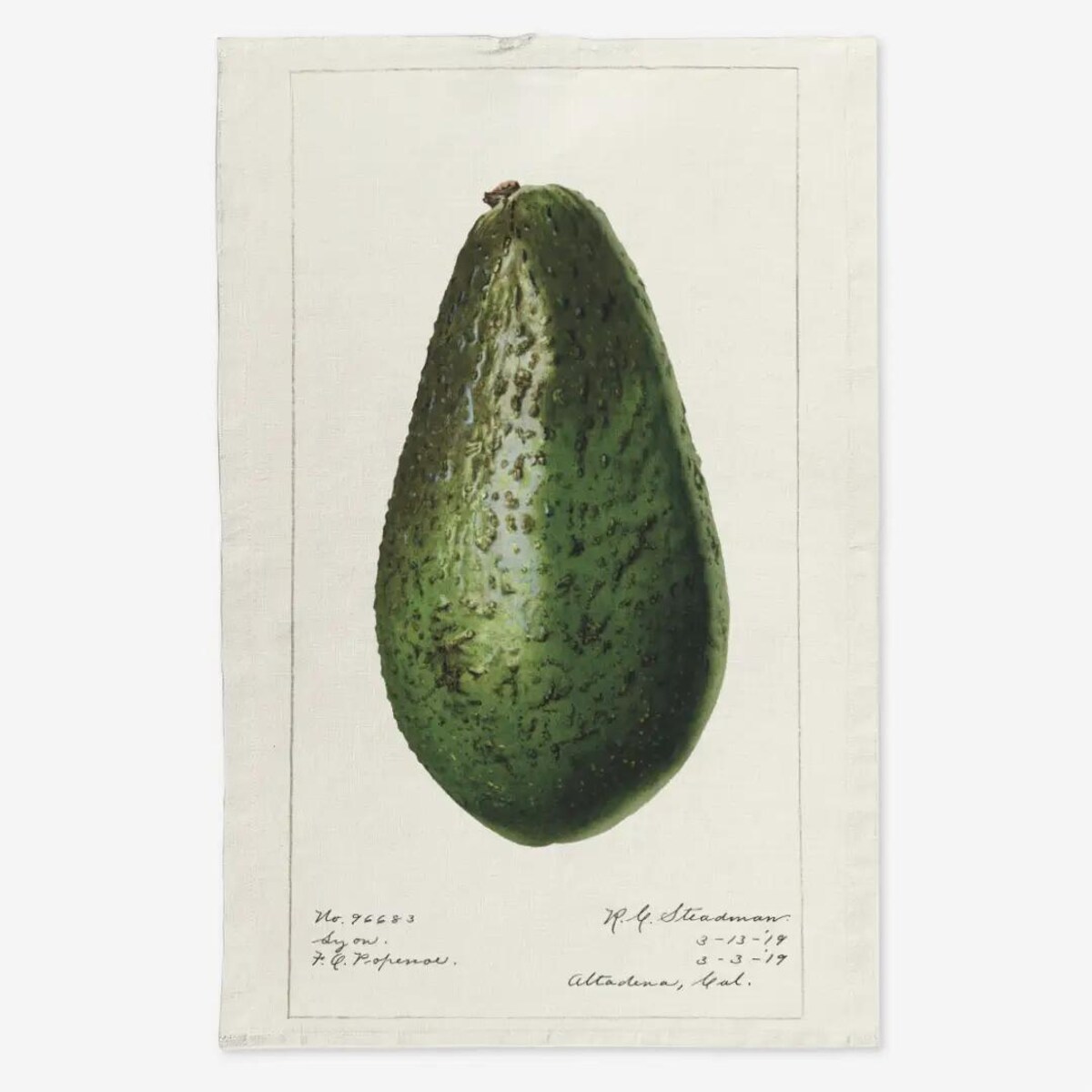 Lniany ręcznik kuchenny - całe awokado