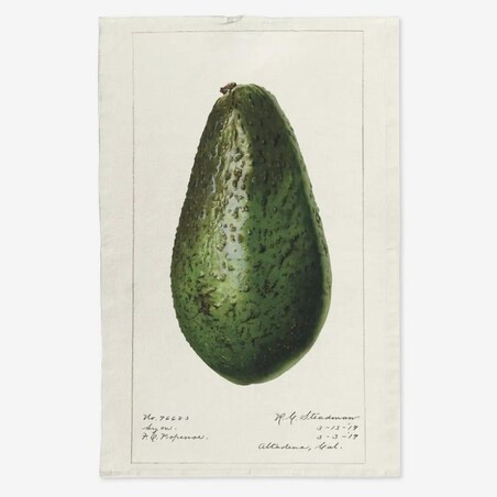 Lniany ręcznik kuchenny - całe awokado