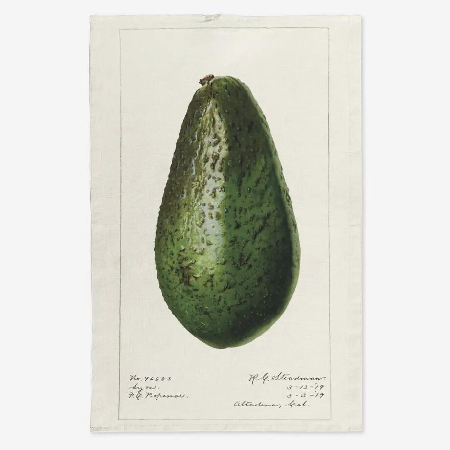 Lniany ręcznik kuchenny - całe awokado