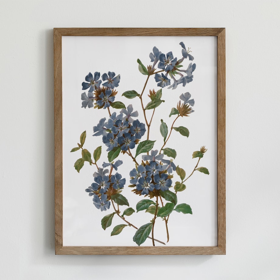 Zestaw 6 Ilustracji 21x30cm