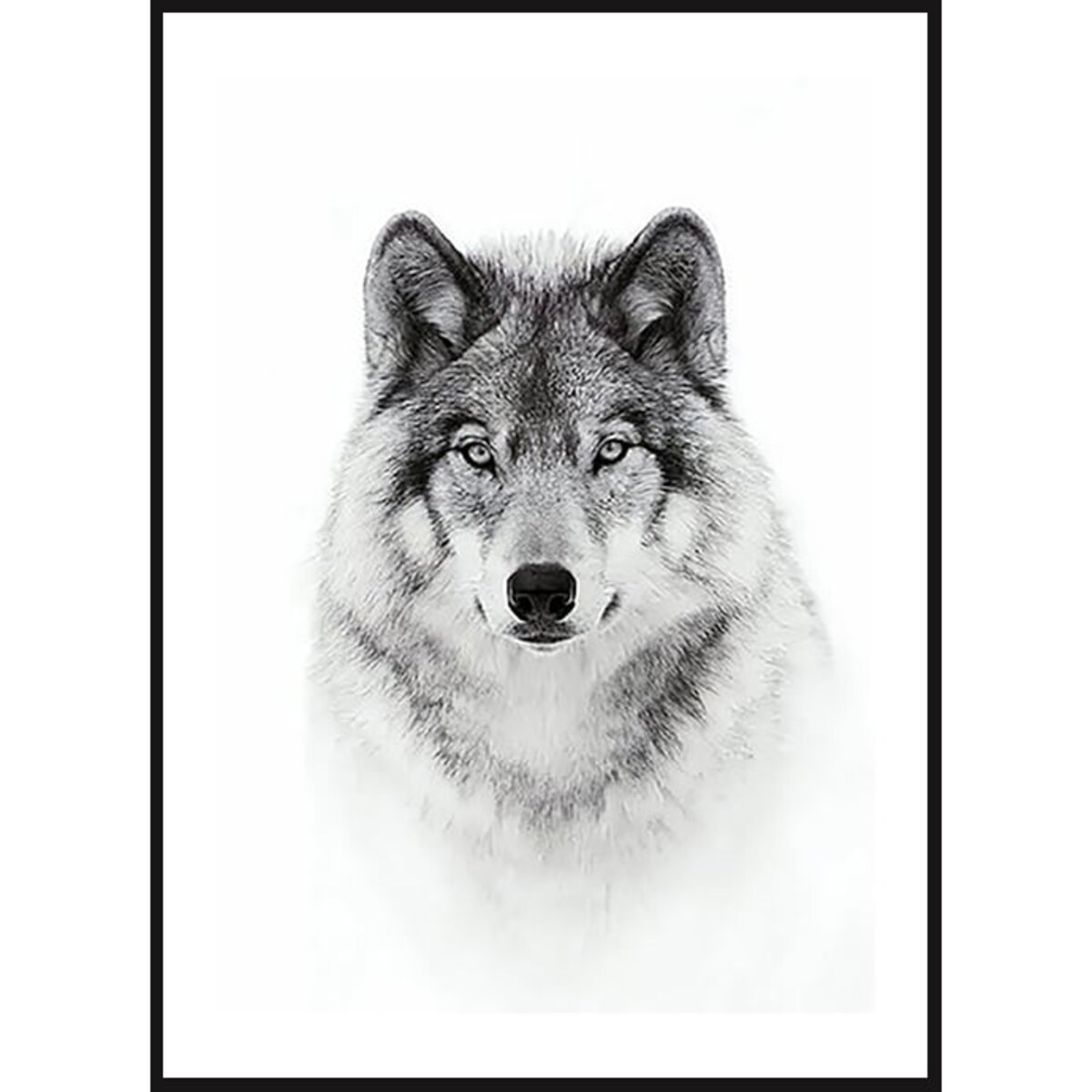 Poster Story, Plakat, Obraz - Wilk w Akwareli, wymiary 21 x 30 cm