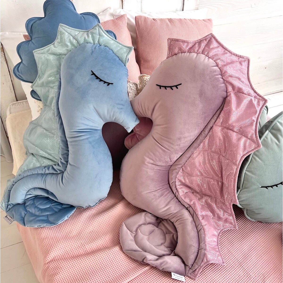 Niebieska poduszka konik morski