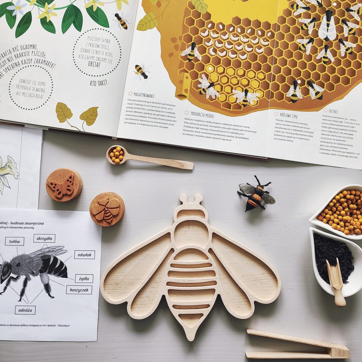 Wysypywanka sensoryczna Pszczoła