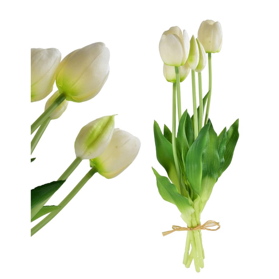 Bukiet tulipanów VIRIDIS