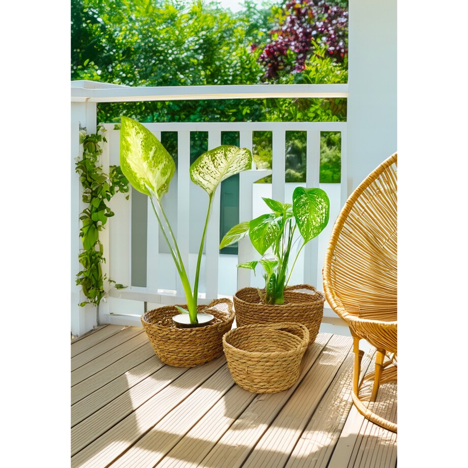 DONICZKA KOSZ DUŻA BOHO 3 szt osłonka na bonsai balkon taras do domu salonu