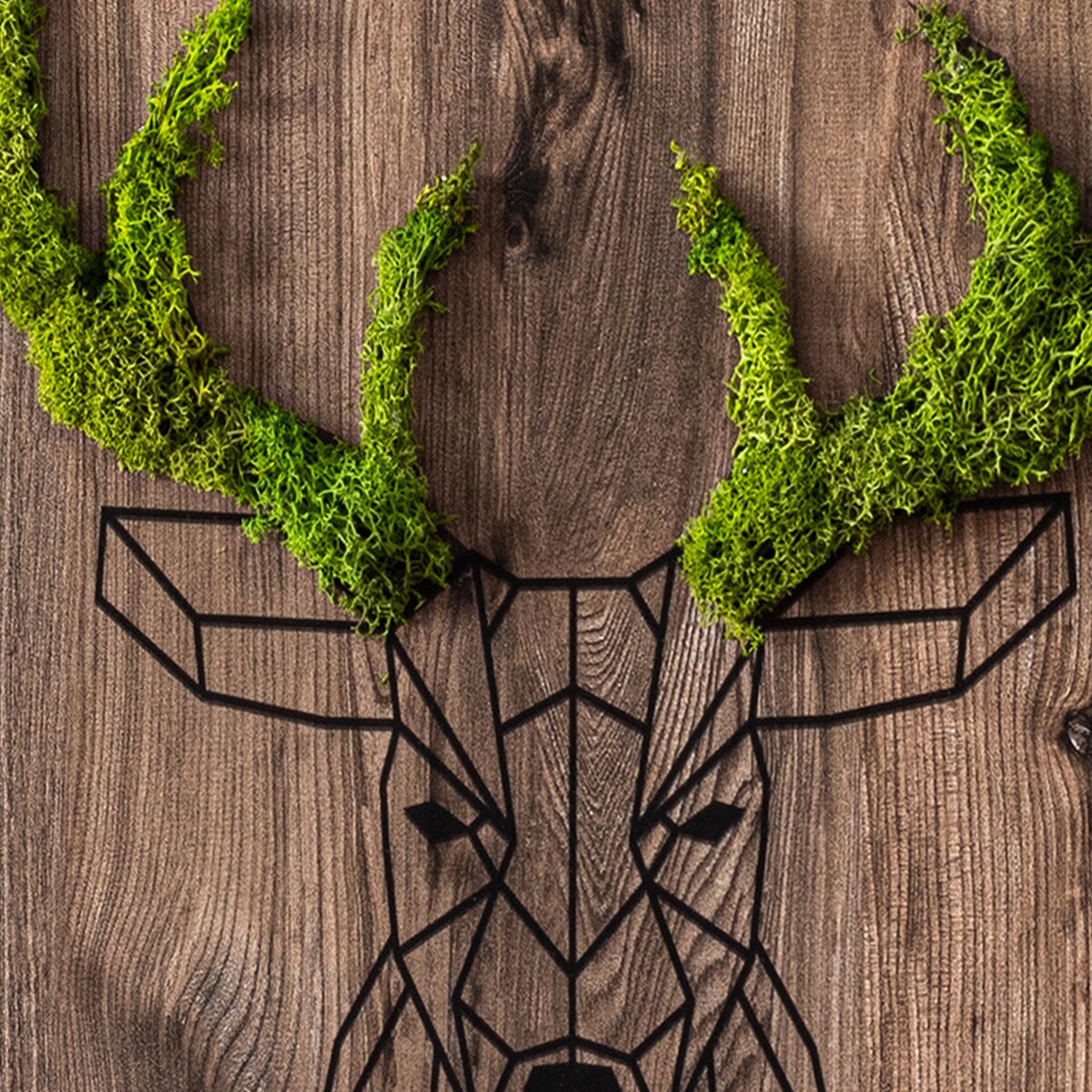 Obraz Głowa jelenia na drewnianym tle - mech chrobotek w czarnej ramie 40x60cm