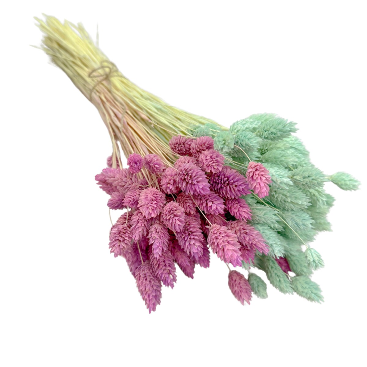 Zestaw suszonych traw - mięta/fiolet