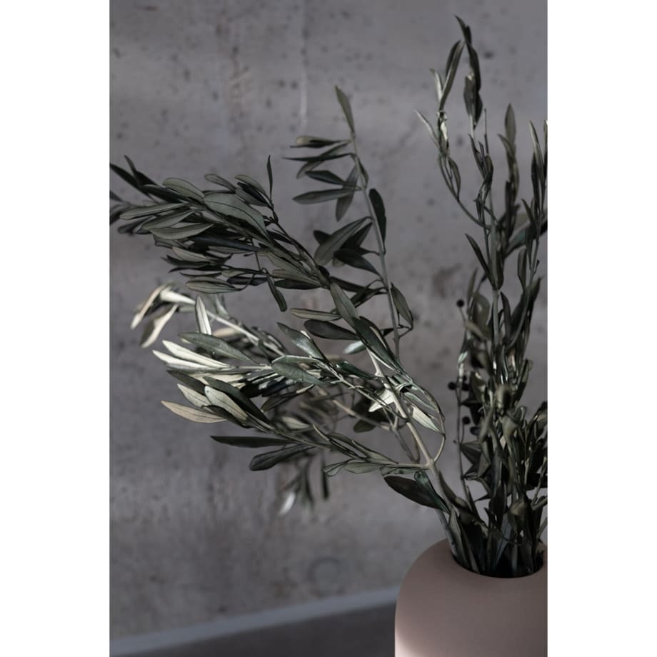 Stabilizowane Gałązki Oliwne