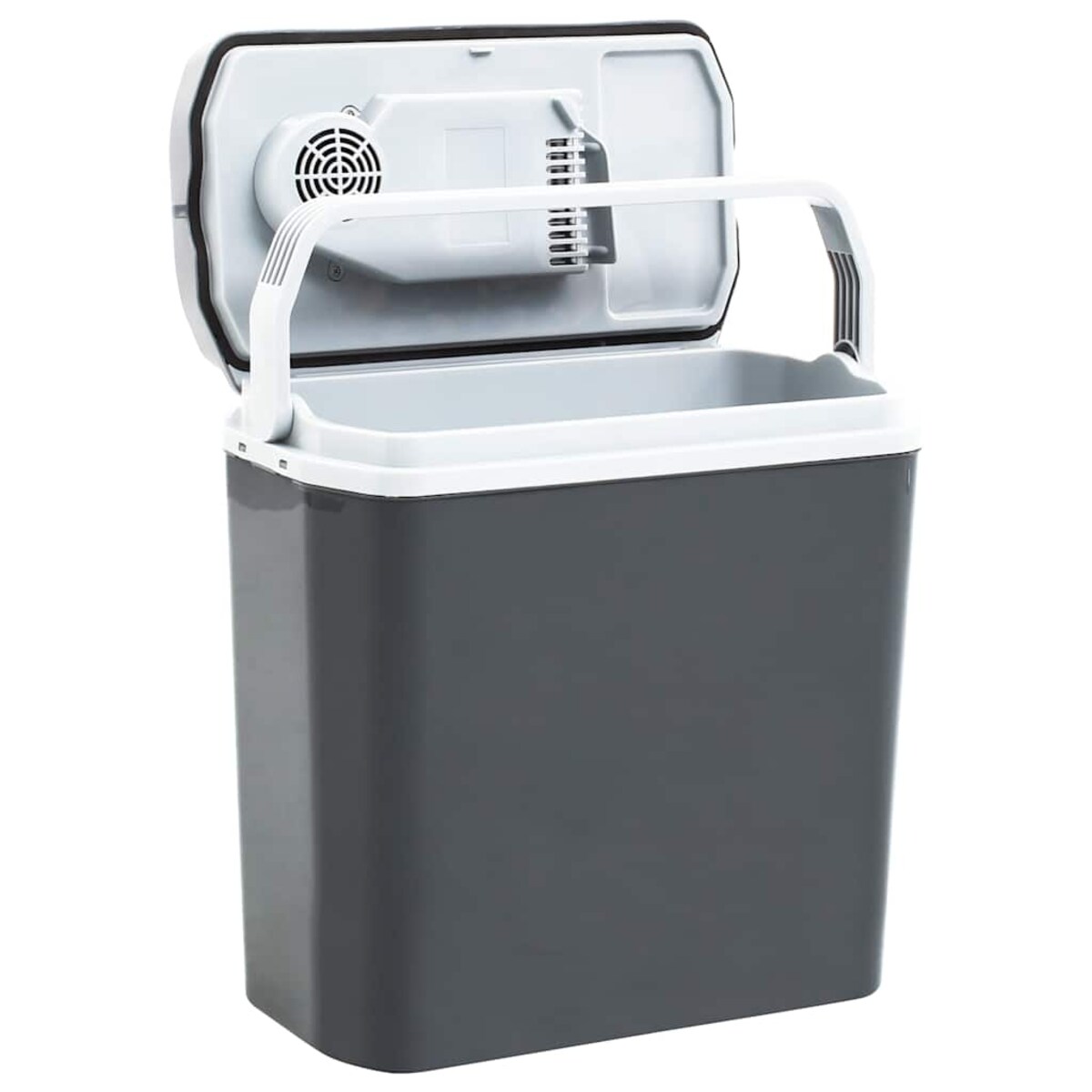 vidaXL Przenośna chłodziarka termoelektryczna, 20 L, 12 V, 230 V, A+++