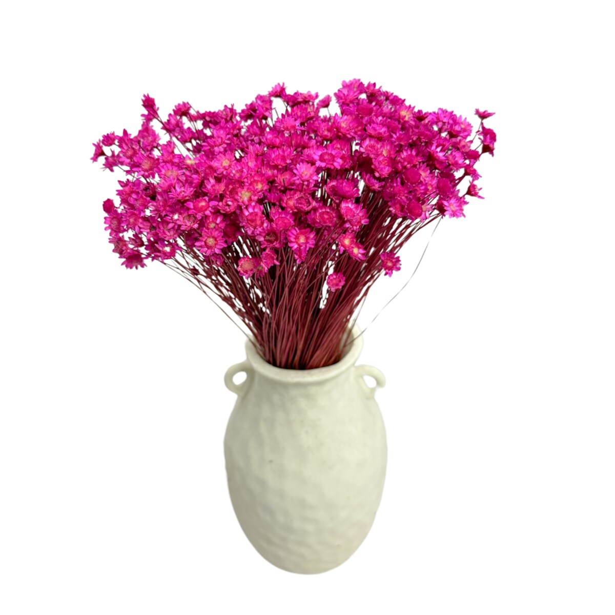 Suszona gliksja fuksja, glixia 50g - suszone kwiaty