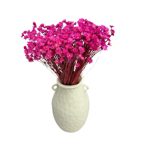 Suszona gliksja fuksja, glixia 50g - suszone kwiaty