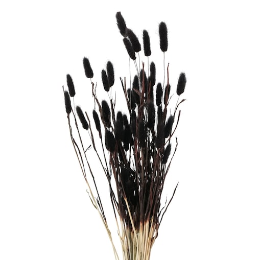 Ozdobne gałązki do wazonu, suszone, 70 cm