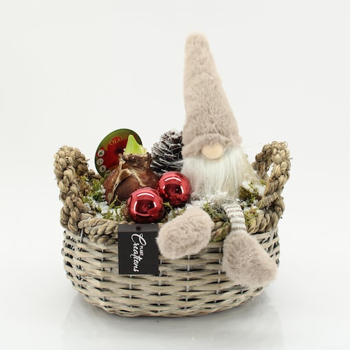 Kompozycja AMARYLLIS z mikołajem| Doniczka Ø23cm | Wysokość ok. 25 cm