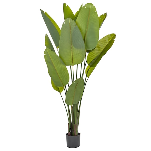 Sztuczna roślina BANANA TREE 187 cm Zielony