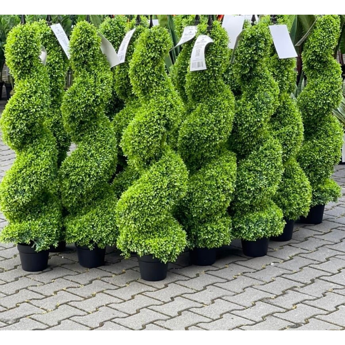 Sztuczny bukszpan Premium 120