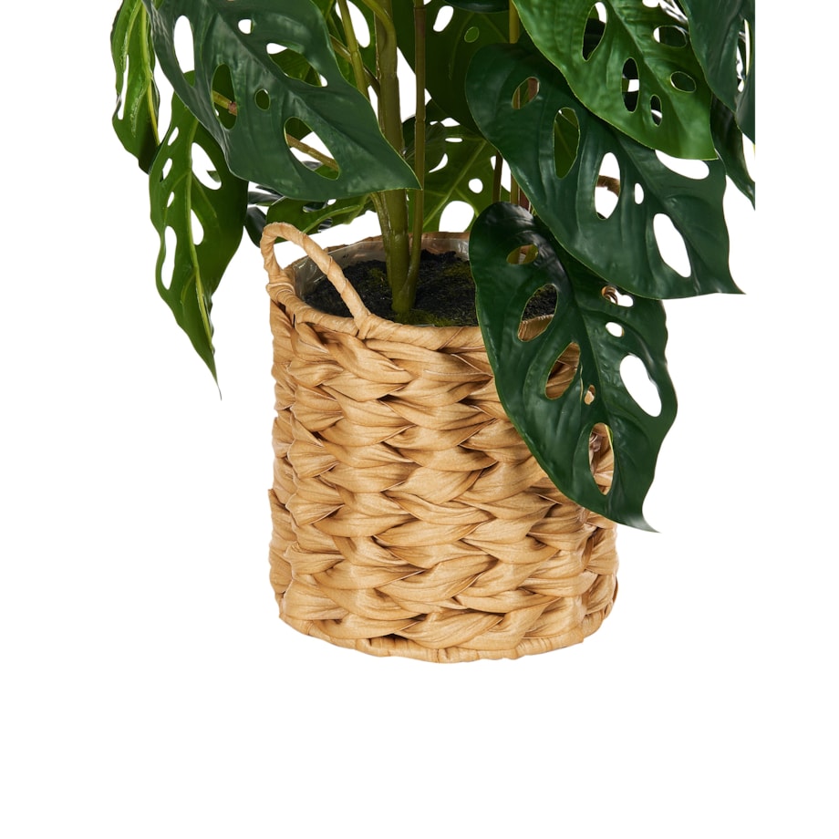 Sztuczna roślina KIAMA