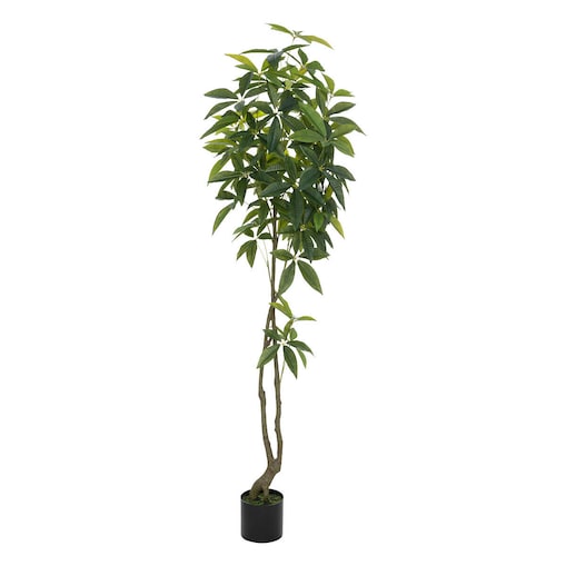 Sztuczna roślina w doniczce, pachira, 180 cm
