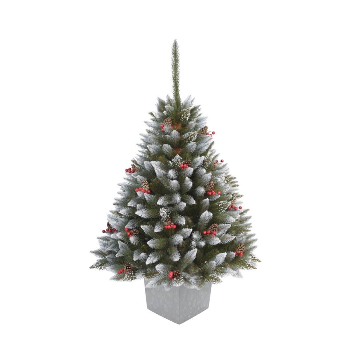 Choinka Premium Świerk Diamentowy Ilex w Kwadratowej Donicy 160 cm X-Choinka 7 kolorów donicy