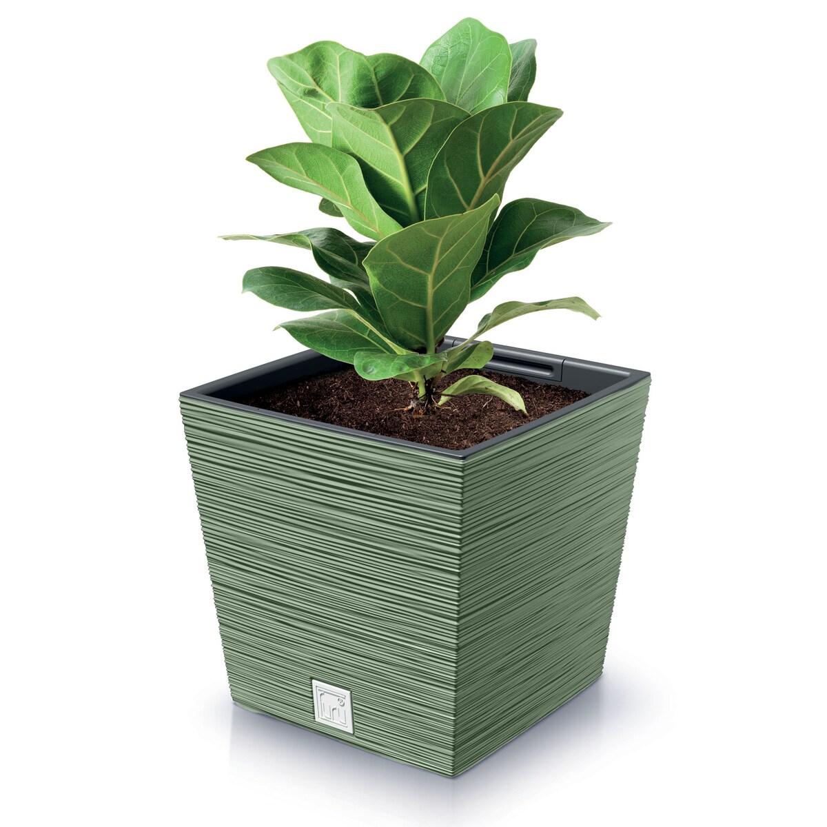 Doniczka Donica Ogrodowa 24/29,5 Cm Zestaw Kwadratowa Na Taras Do Ogrodu Domu Zielona