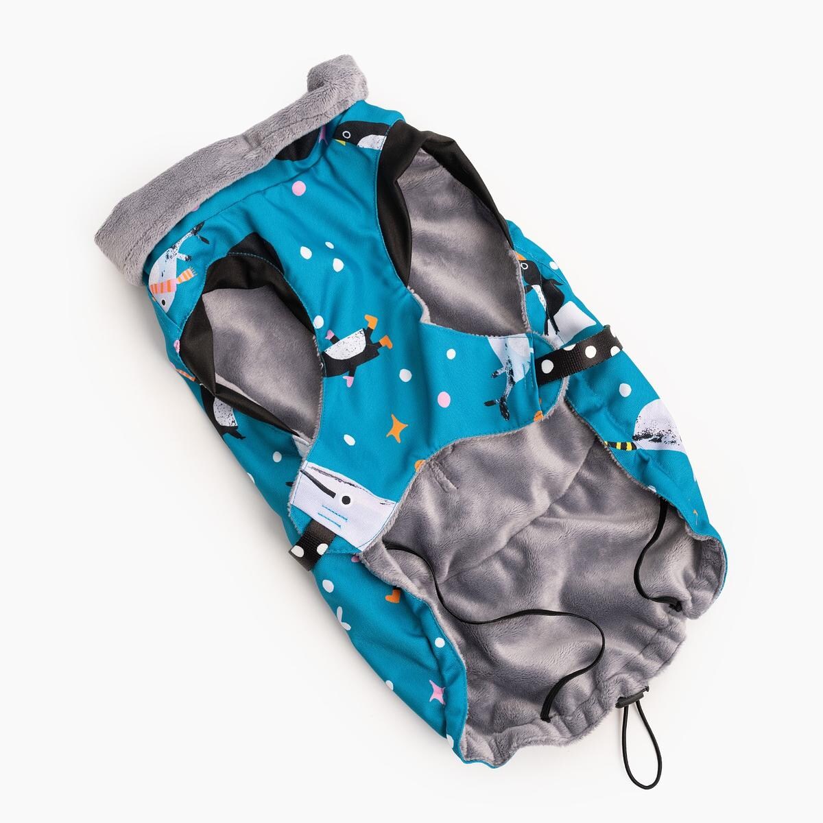 Kurtka dla psa "Łot de fok?" - Rozmiar: XXS