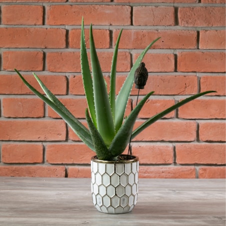 DONICA IGLOO ceramiczna biało-złota śr. 13cm