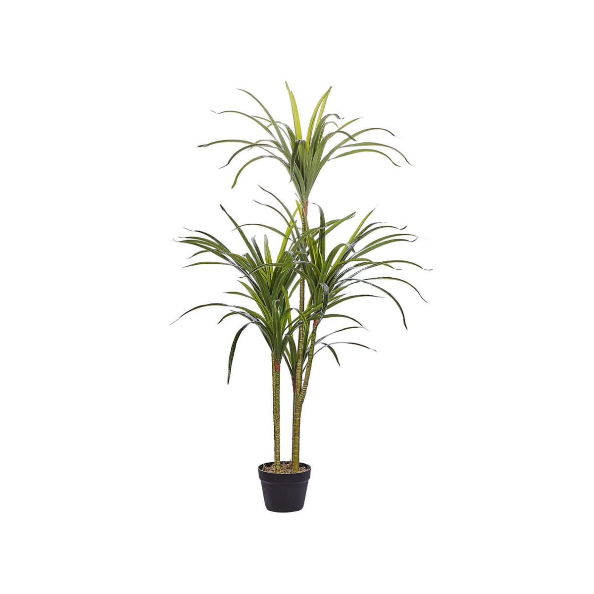 Sztuczna roślina doniczkowa 147 cm DRACAENA ANITA