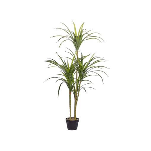 Sztuczna roślina doniczkowa 147 cm DRACAENA ANITA