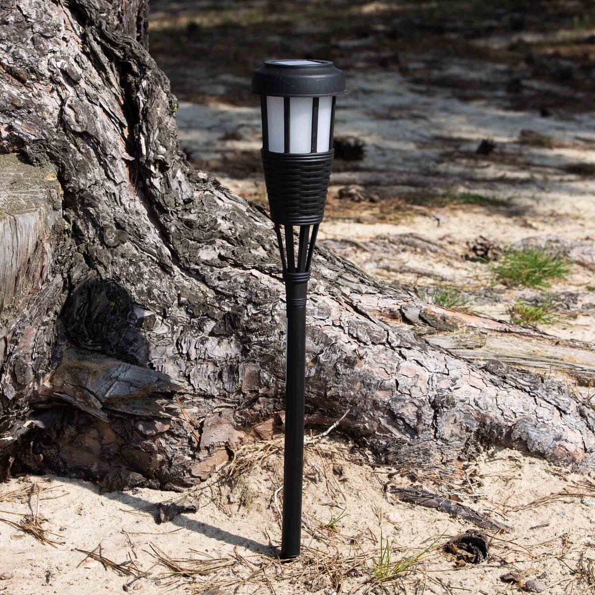 Lampa Solarna Ogrodowa Do Ogrodu Led Zewnętrzna Wbijana Słupek 50X7 Cm