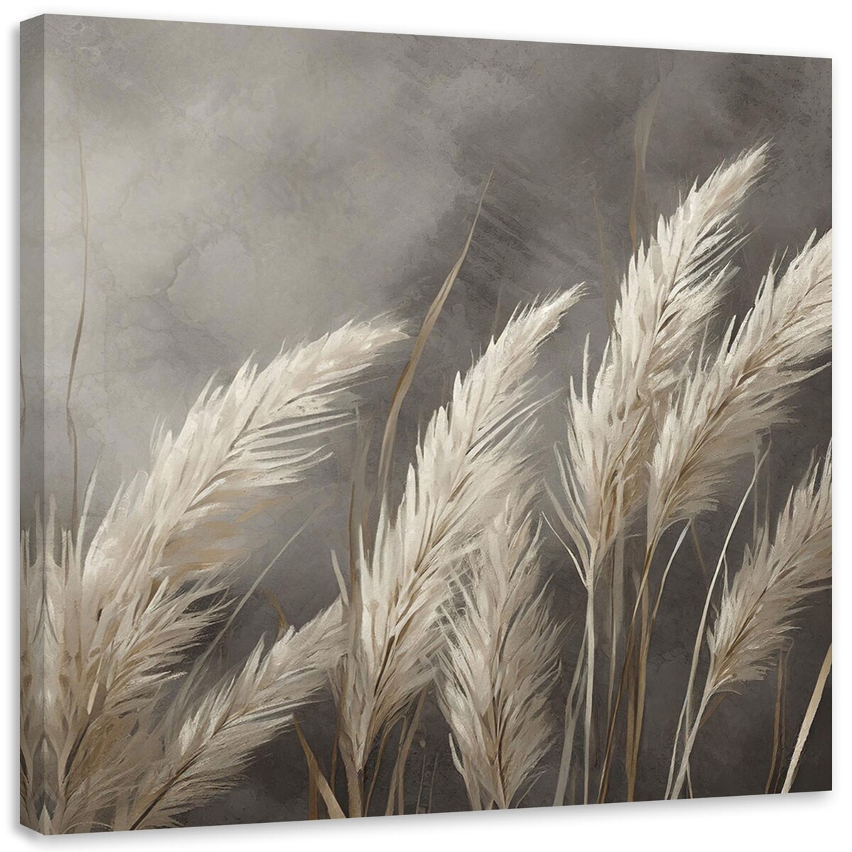 Nowoczesne obrazy na płótnie Trawa Natura Botanika Beżowy Szary 60x60