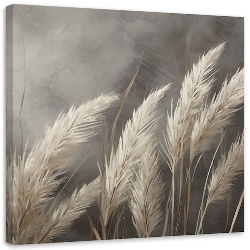 Nowoczesne obrazy na płótnie Trawa Natura Botanika Beżowy Szary 60x60