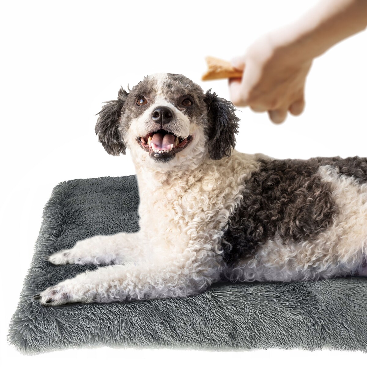 Legowisko Dla Psa Poduszka Posłanie Wytrzymałe 70X50 Cm Shaggy Szare