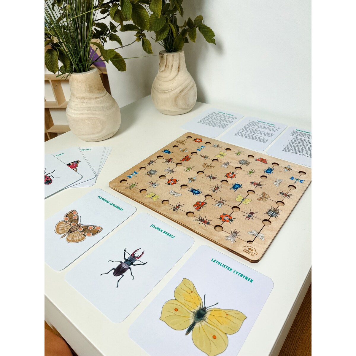 Puzzle drewniane Owady - gra logiczna Montessori