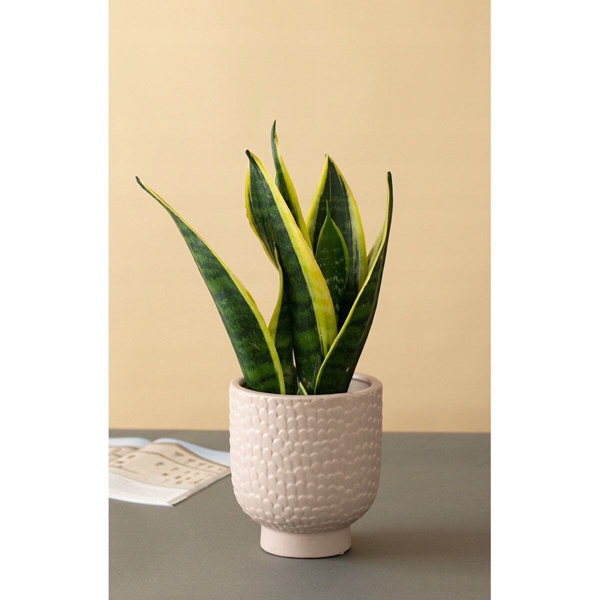OSŁONKA STIM ceramiczna beżowa śr. 13cm