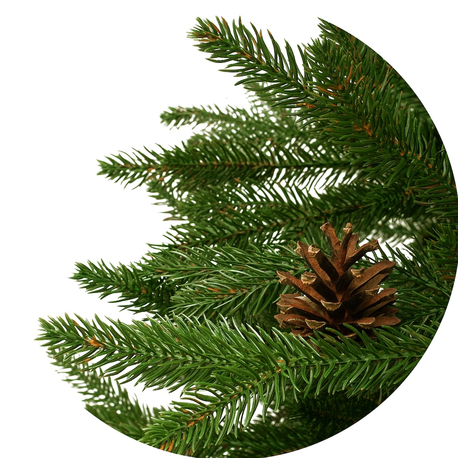 Choinka sztuczna Świerk kanadyjski PE