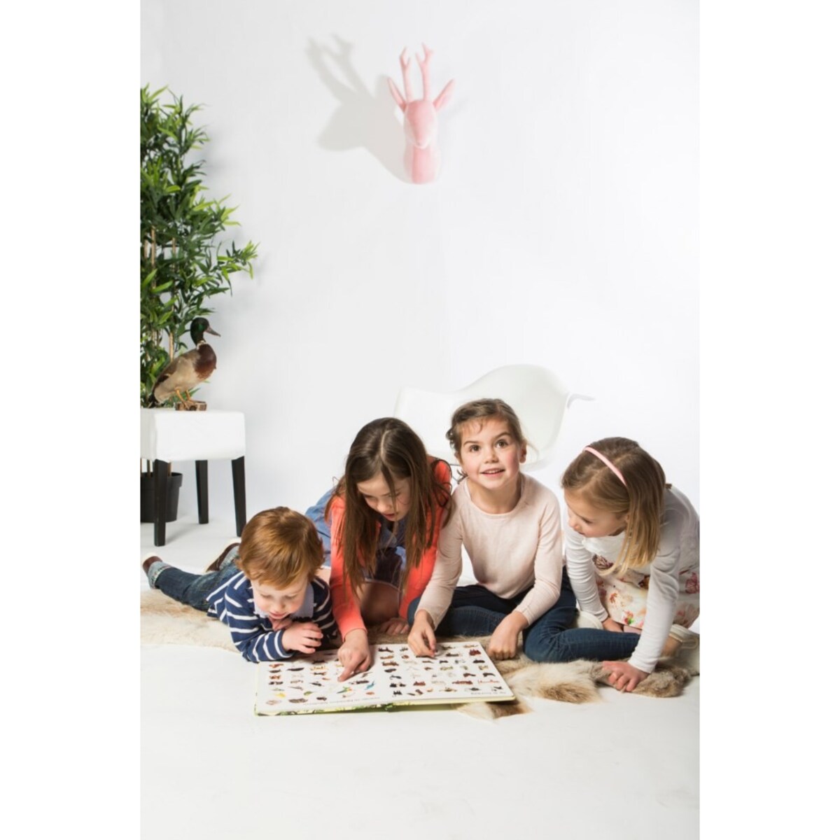 Trofeum koziołek Victoria Wild&Soft