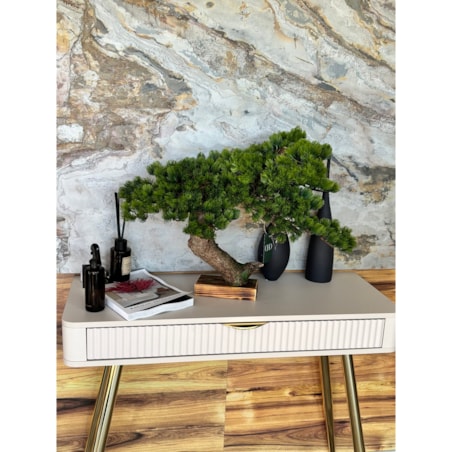 Bonsai iglaste na naturalnym pniu