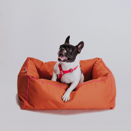 Legowisko dla psa Cookie - S - 60 x 50 cm