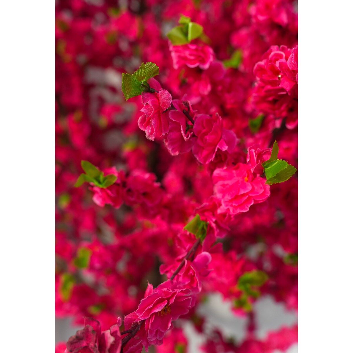 Drzewo kwitnącej wiśni z różowymi kwiatami na naturalnym pniu 180 cm x 100 cm