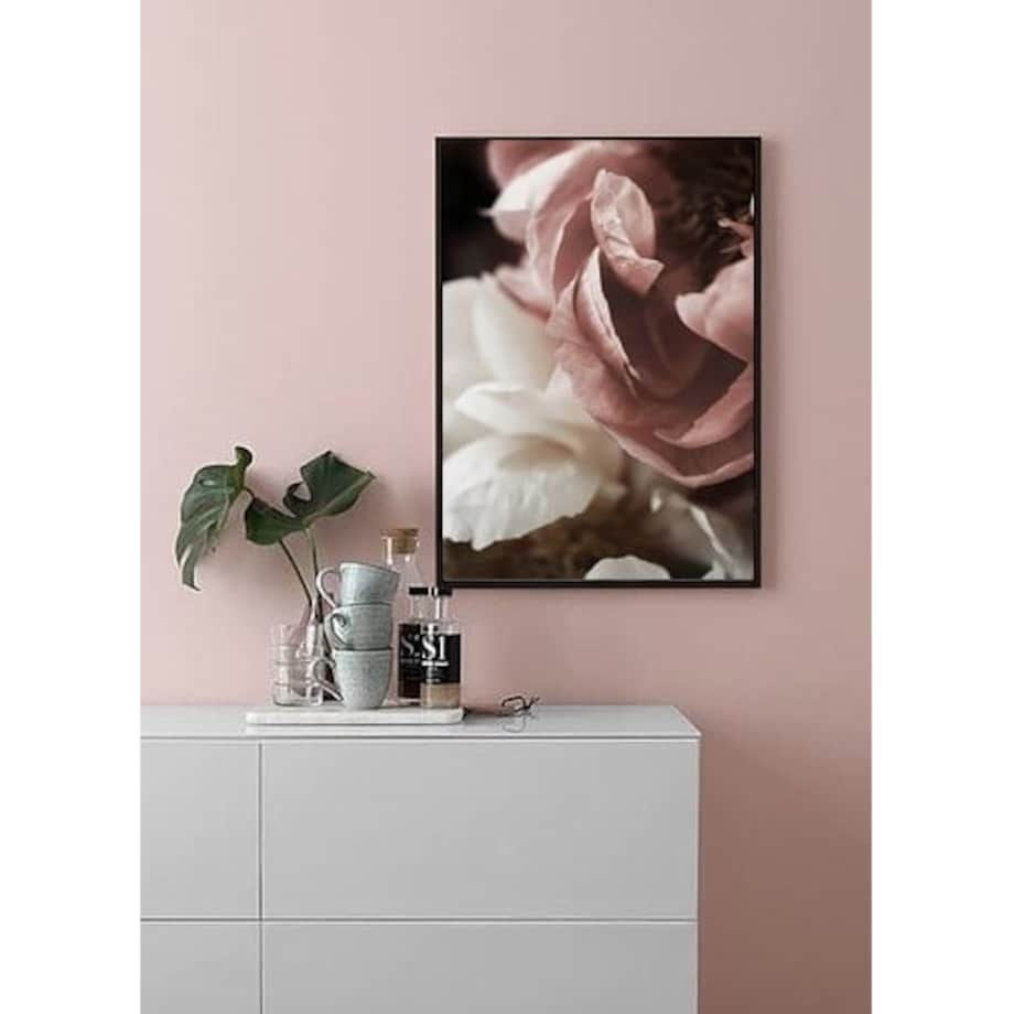 Poster Story, Plakat, Obraz - Piwonie Białe i Pudrowe w Rozkwicie No4, wymiary 60 x 84 cm