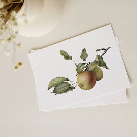 Plakat Gałązka z jabłkami 21x30cm