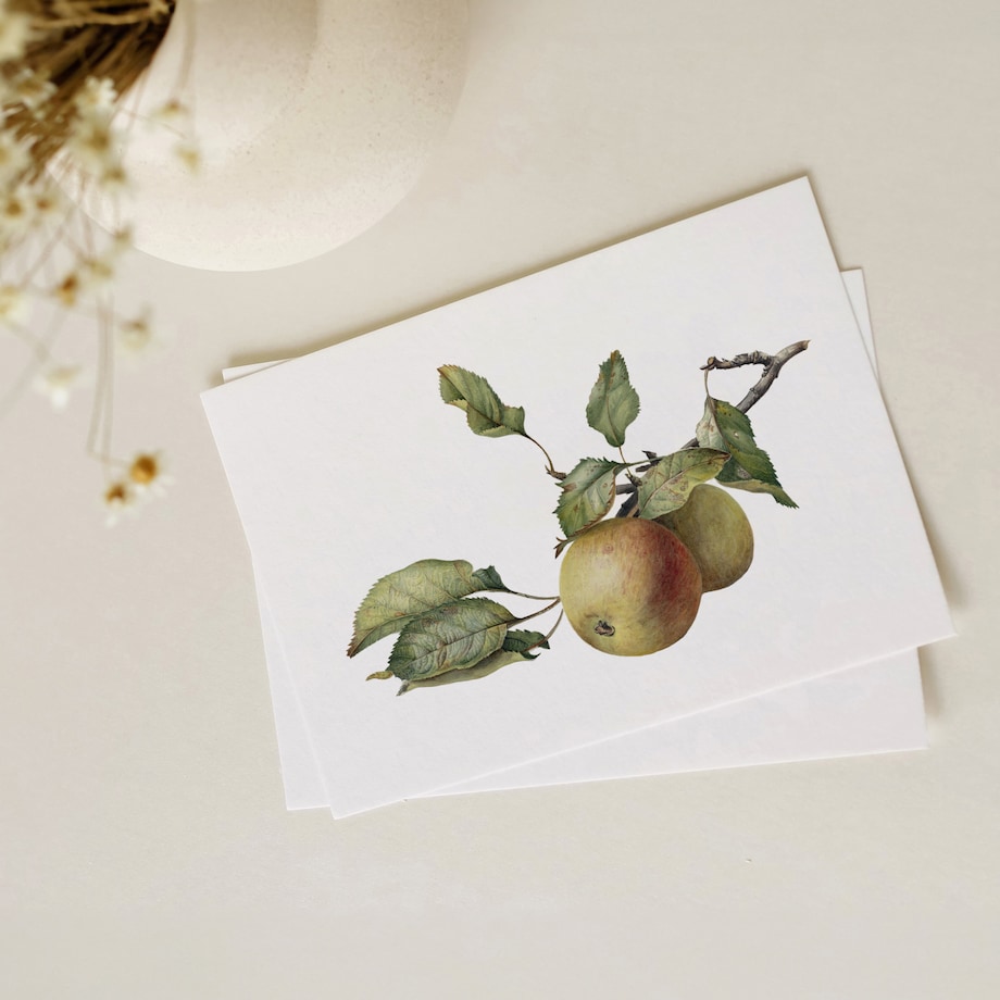 Plakat Gałązka z jabłkami 21x30cm