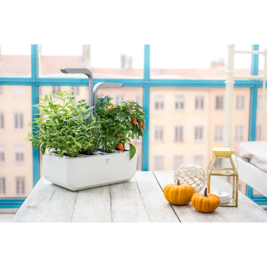 Doniczka Véritable Classic