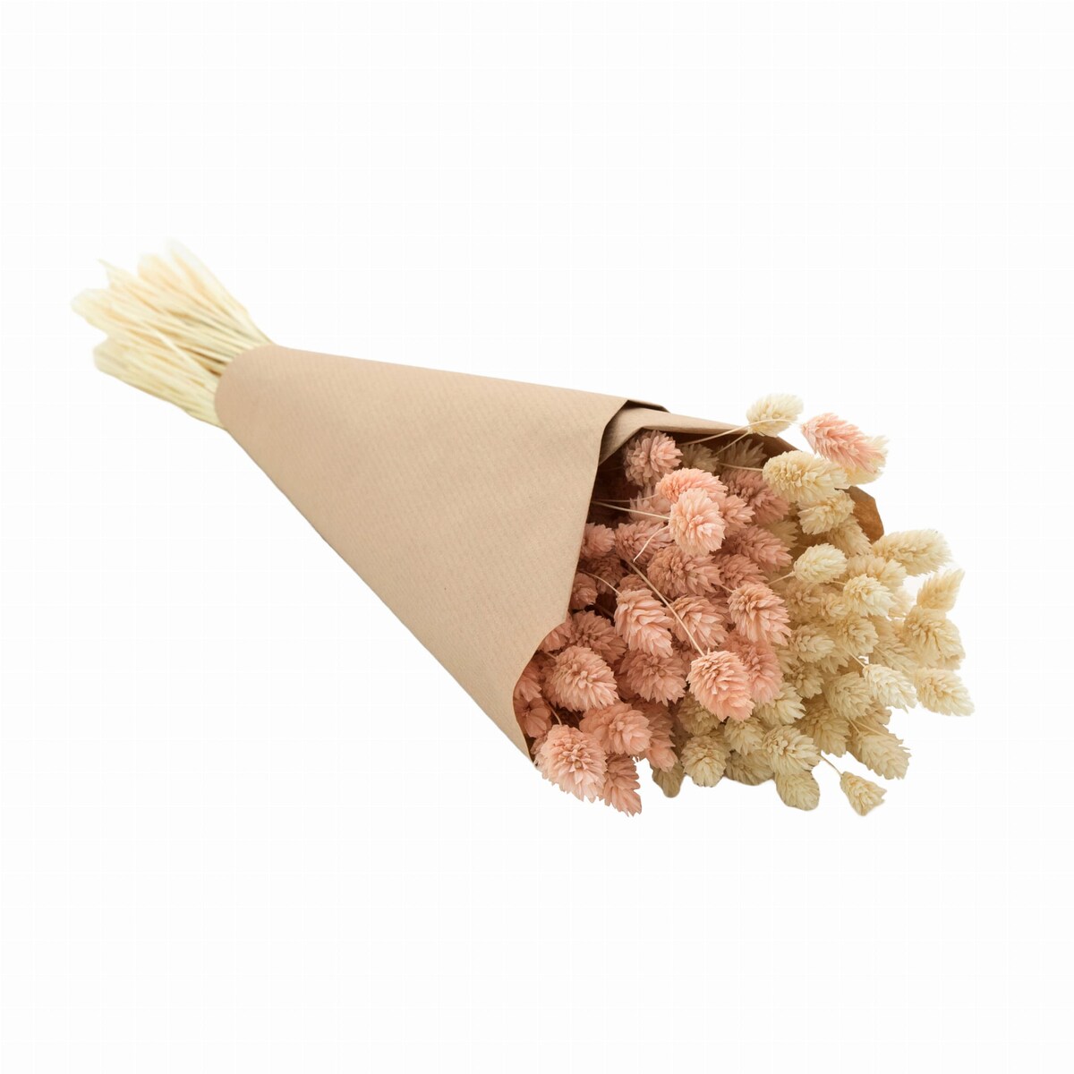 Zestaw suszonych traw - biel & jasnyróż