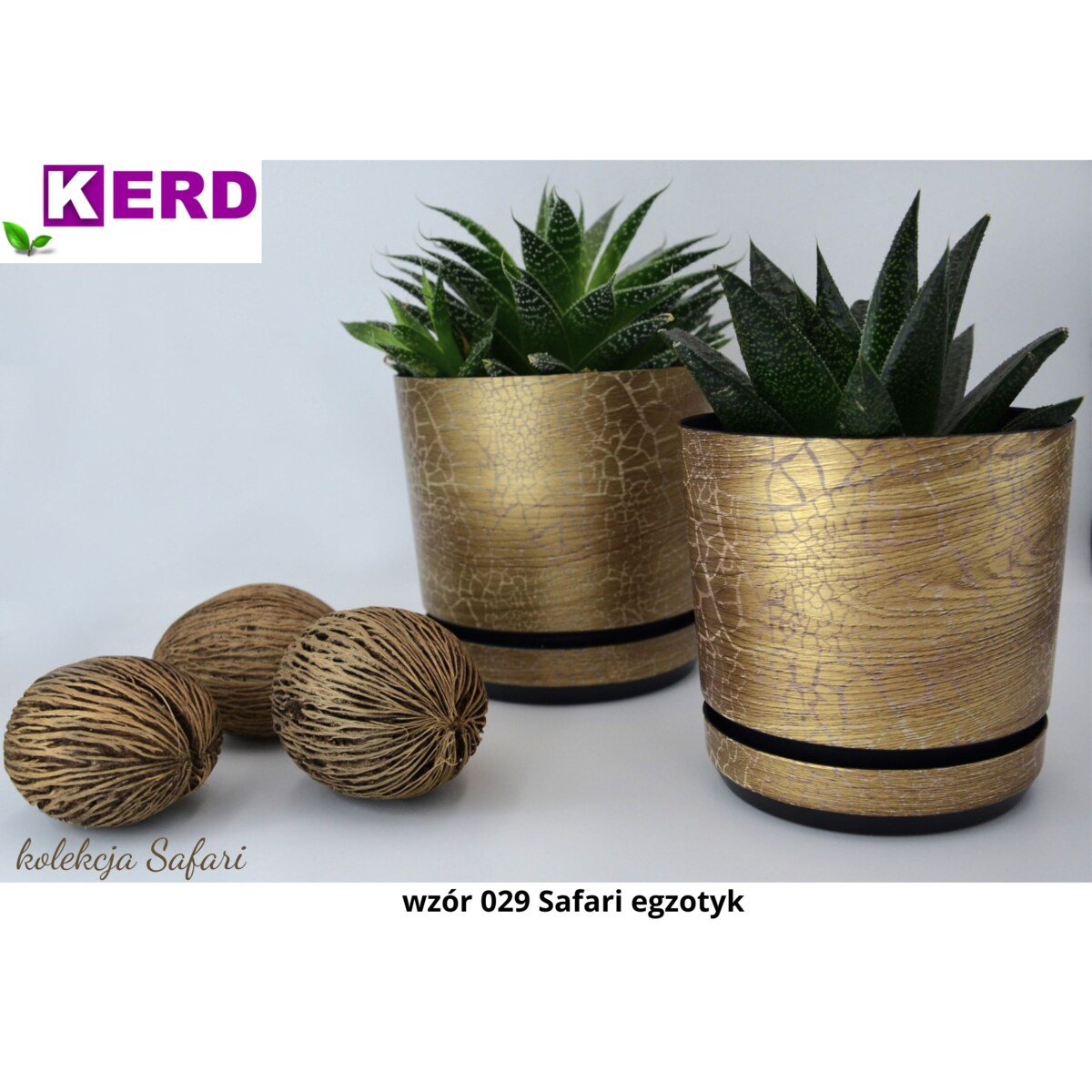 14 cm wzór SAFARI EGZOTYK Doniczka z podstawką efekt naturalny drewna złotej deski drzewa afrykańskiego drewnopodobna