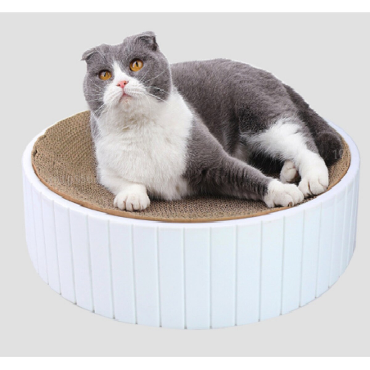 Drapak Dla Kota Z Tekturki Duży Do Drapania Zabawka Kot Leżący Okrągły